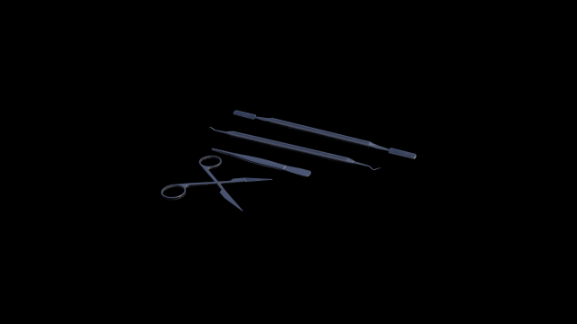 Surgical Instrument Model 3D .c4d .max .obj .3ds .fbx .stl .blend 