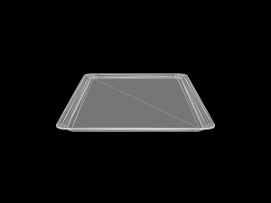 Lab Tray 3D Model