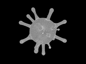 Virus - Variant A Modello 3D