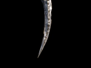 King Dagger 3D Model