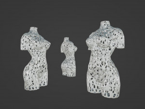 Woman torso sculpture Model do druku 3D