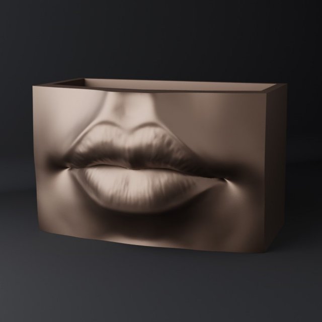 Lips pot-organizer-vase 3D-printmodel .c4d .max .obj .3ds .fbx .stl .blend 