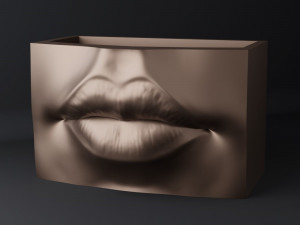 Lips pot-organizer-vase 3D Print Models