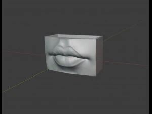 Lips pot-organizer-vase 3D Print Model
