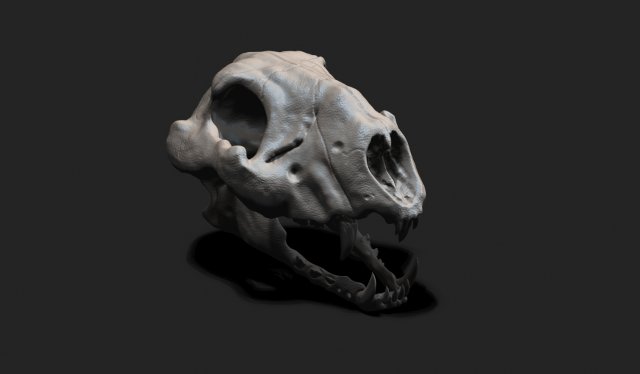 Creature Skull Model 3D .c4d .max .obj .3ds .fbx .stl .blend 