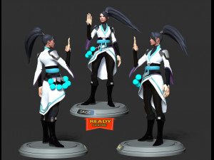 Sage - Valorant Modelo de impresión 3D