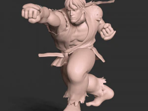 류 - 스트리트 파이터 3D 프린트 모델