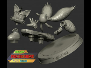 Miles Tails Prower Riders 3D 打印模型