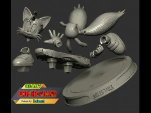 Miles Tails Prower Riders 3D Print Model