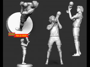 Diego Maradona 3D Print Model
