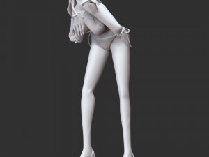 One Piece - Nami Swimsuit Model do druku 3D