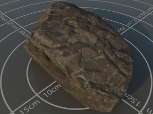 Photoscanned rock 1 3D 模型