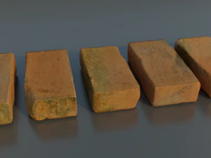 Photoscanned BrickRedMoss Collection 3D Model