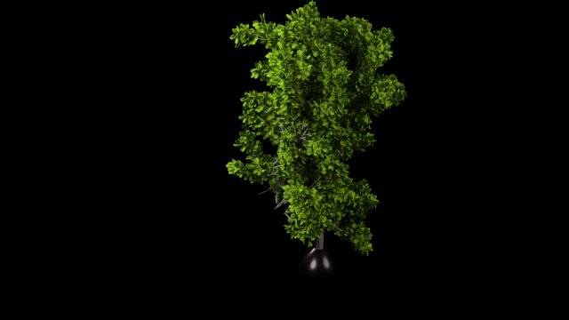 Tree 3D Model .c4d .max .obj .3ds .fbx .stl .blend 