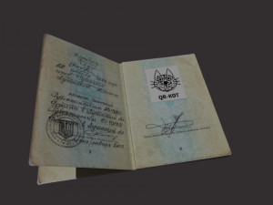Passport of Ukraine Model 3D