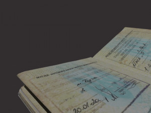 Passport of Ukraine Model 3D