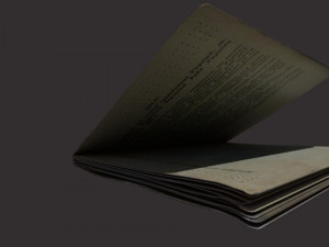 Passport of Ukraine Model 3D