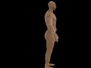 5Dollar Store Pirate 3D Model