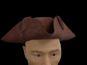 5Dollar Store Pirate 3D Model
