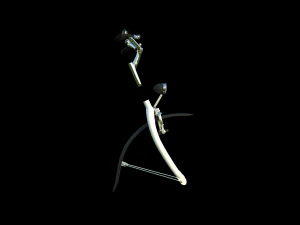 5Dollar Store Bicycle 3D Model