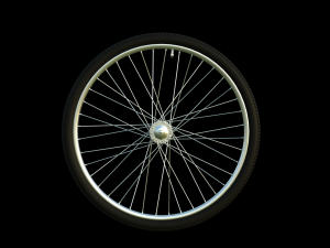 5Dollar Store Bicycle Modello 3D