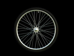 5Dollar Store Bicycle 3D Model