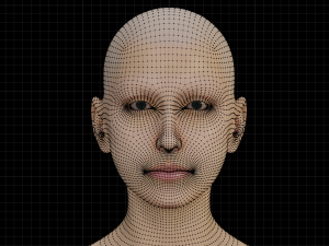 5Dollar Store Shapekey Rigged Female Modelo 3D