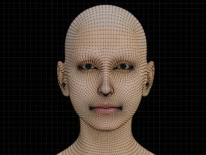 5Dollar Store Shapekey Rigged Female 3D Model