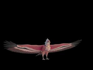 Falcon Genshin Style Modelo 3D