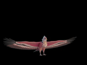 Falcon Genshin Style 3D Model
