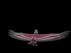 Falcon Genshin Style Modelo 3D