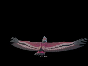 Falcon Genshin Style 3D Model