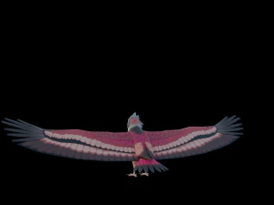 Falcon Genshin Style 3D Model