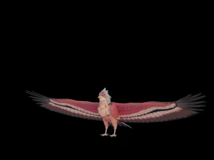 Falcon Genshin Style 3D Model