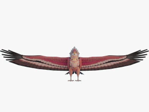 Falcon Genshin Style 3D Model
