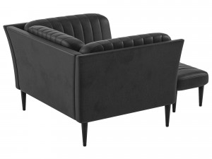 Sorensen Modello 3D