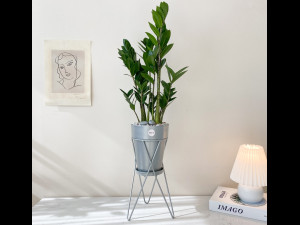 Metal Flowerpot 3D 模型