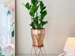 Metal Flowerpot 3D 模型