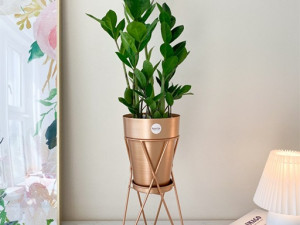 Metal Flowerpot 3D 模型
