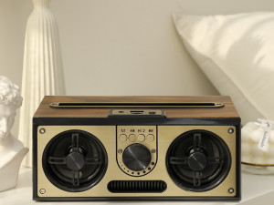 Sebiz Retro Portable Bluetooth Speaker RETRO20W Model 3D