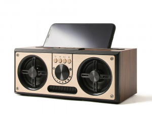 Sebiz Retro Portable Bluetooth Speaker RETRO20W Model 3D