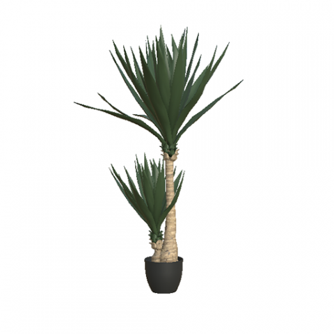 YUCCA TREE Model 3D .c4d .max .obj .3ds .fbx .stl .blend 