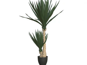 ALBERO DI YUCCA Modello 3D