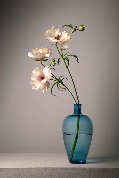 White flower 2 3D Model .c4d .max .obj .3ds .fbx .stl .blend 