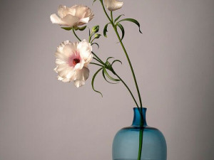 White flower 2 Model 3D