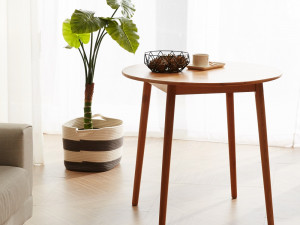 Solid wood round dining table 3D Model