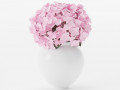 Hydrangea bouquet 3D Models