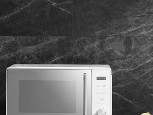 Luxury 20L button-type microwave oven 3D 모델