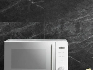 Luxury 20L button-type microwave oven 3D Model