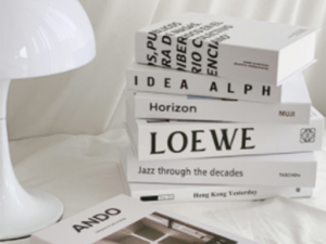 Books White 3D 模型